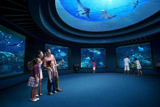 Marine Life Park
